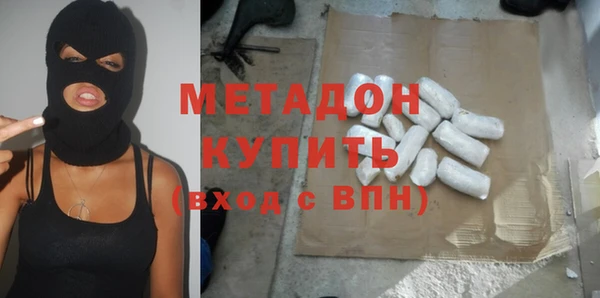 прущие грибы Приозерск