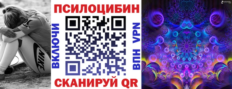 Купить  Чебаркуль  Псилоцибиновые грибы Magic Shrooms 